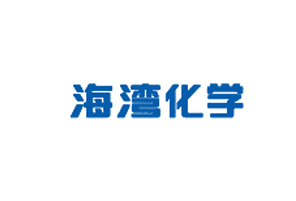 青岛海湾化学有限公司